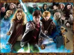Harry Potter (TM)