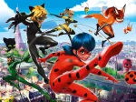 XXL Teile - Lady Bug