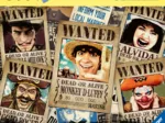 Gewünscht! - One Piece