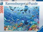 Bunter Unterwasserspaß