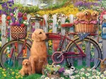 Süße Hunde im Garten