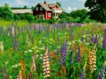 Bauernhof in Schweden (Puzzle Highlight, Scandinavian)