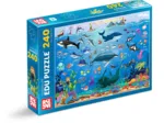 Ocean Animals