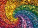 Colorboom Whirl
