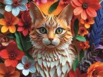 Katze