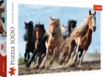 Galopping Horses