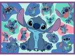 4 Puzzles - The Extraordinary Stitch