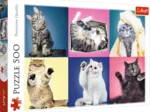 Kittens
