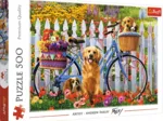 Puppies Adventure