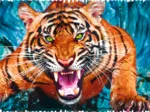 Crazy Shapes - Facing a tiger