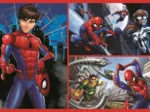 2 Puzzles - Spider Stories
